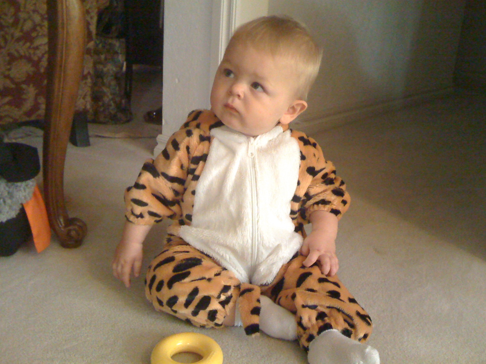Halloween tiger costume