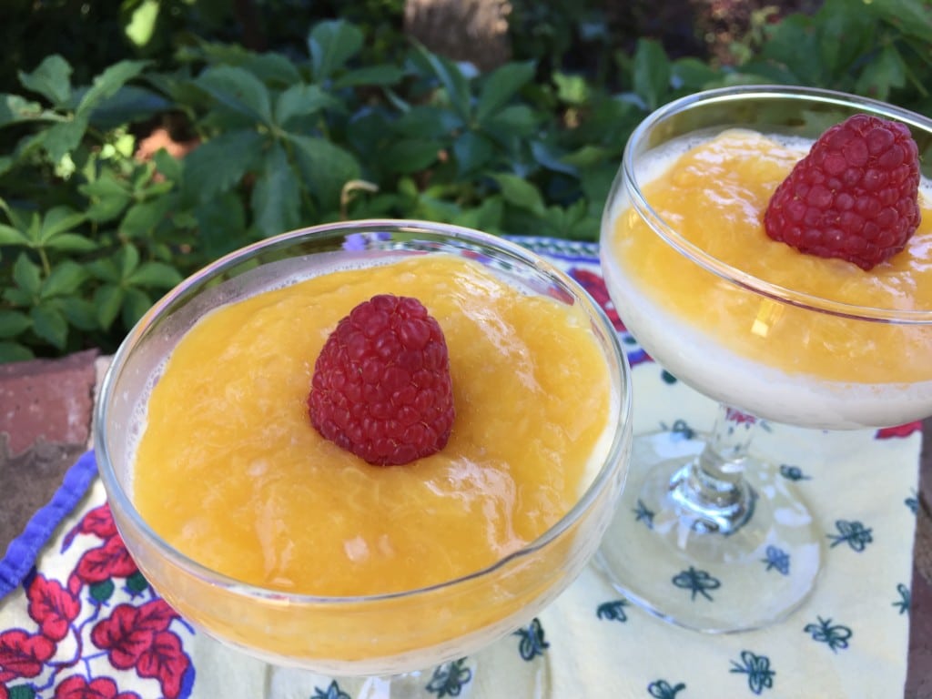 easy panna cotta recipe