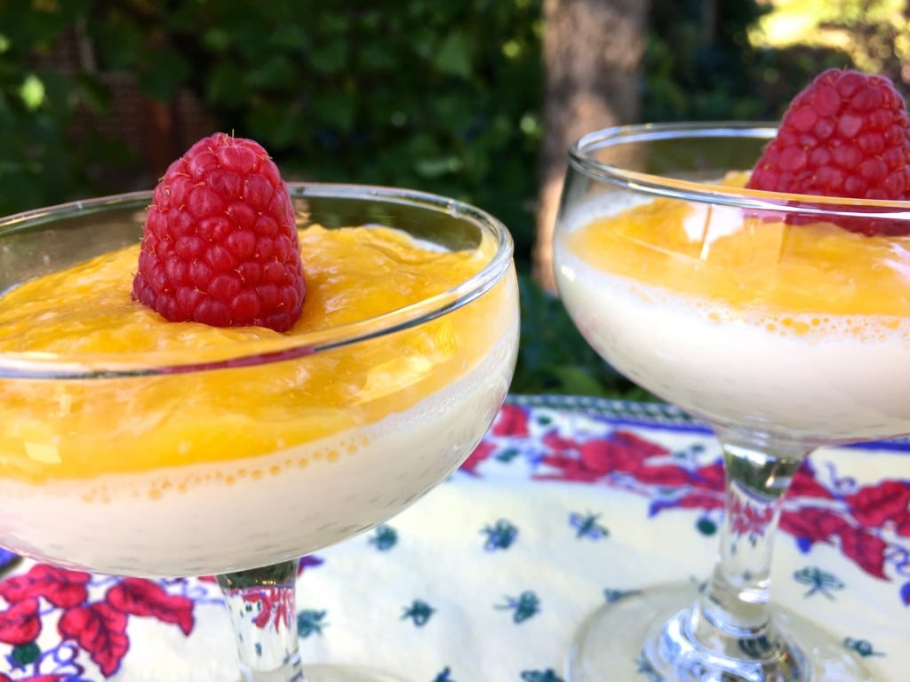 easy panna cotta recipe