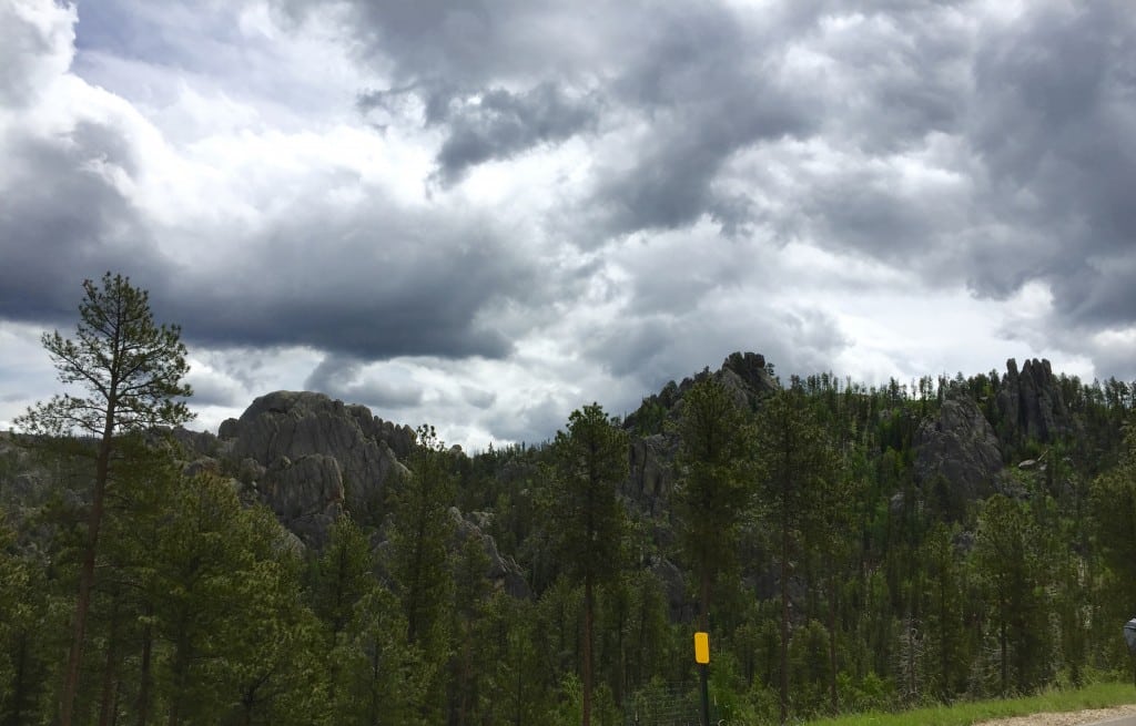 the black hills