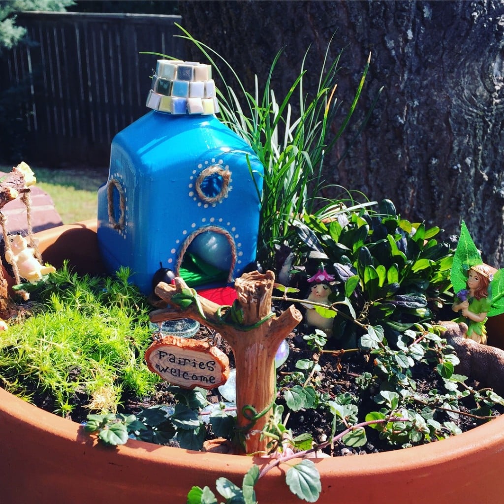 fairy garden inspiration for boys