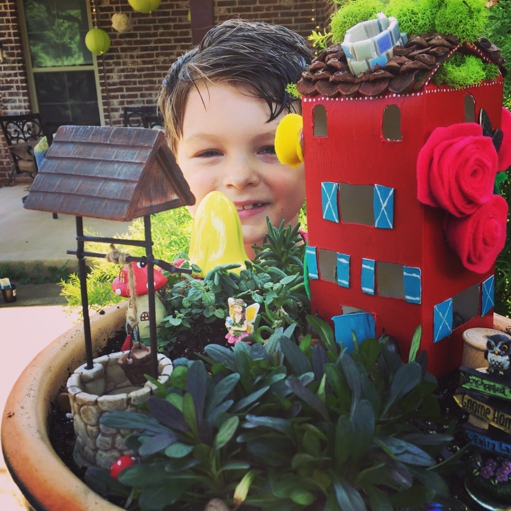 fairy garden inspiration for boys