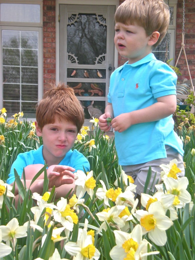 Little boys and daffodils - Hugs, Kisses and Snot