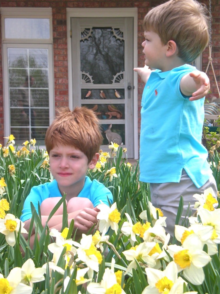 Little boys and daffodils - Hugs, Kisses and Snot