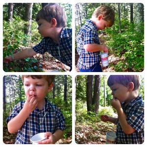 Wild Blueberry Pie - Hugs, Kisses and Snot