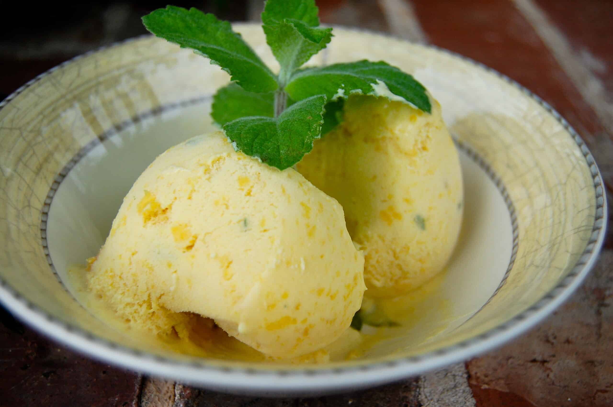 Mango Mint Sorbet - Hugs, Kisses and Snot