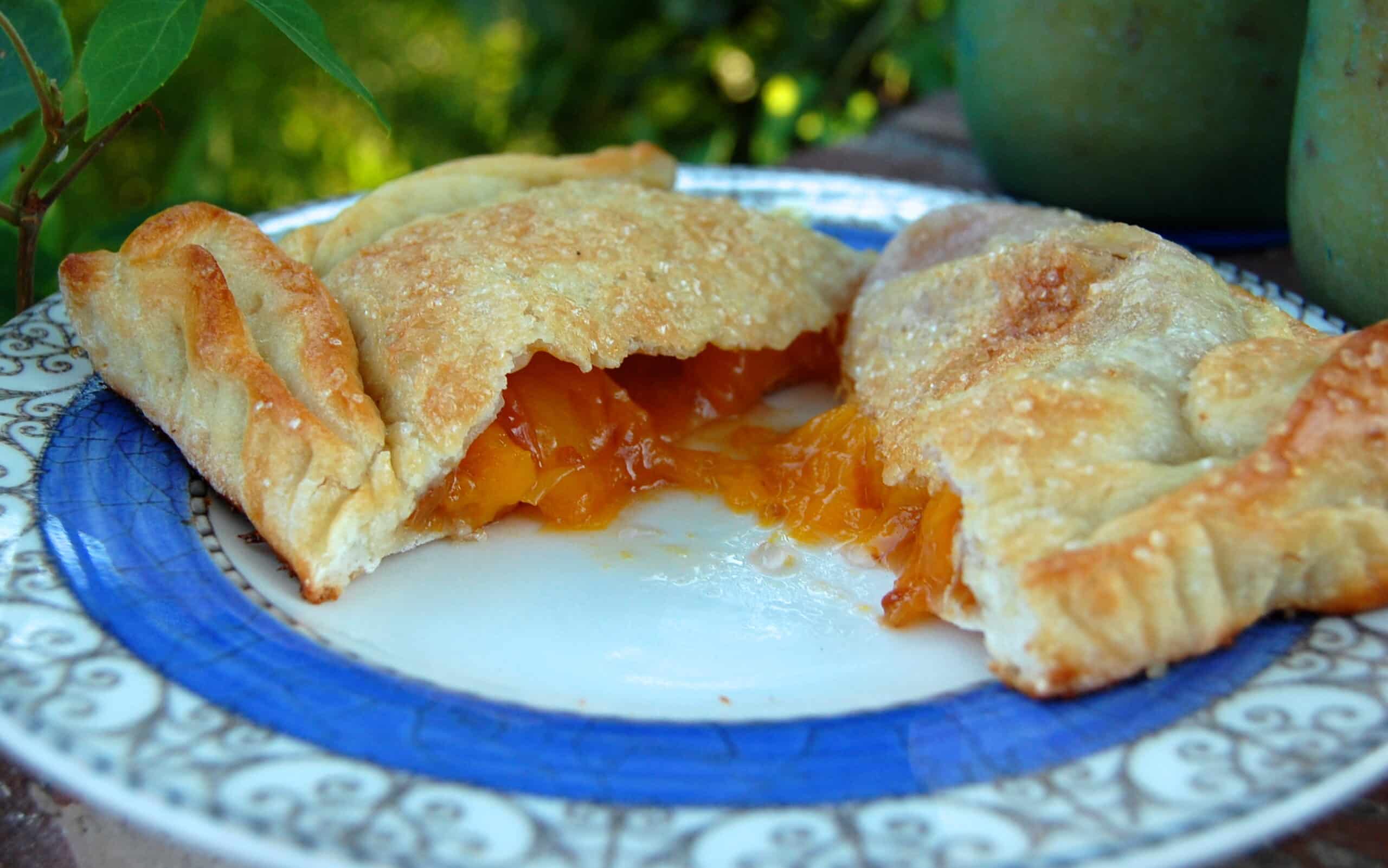 Fruit Pocket recipe Hugs, Kisses and Snot