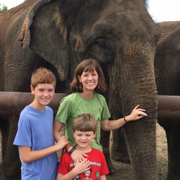Elephant Sanctuary in Hugo Oklahoma