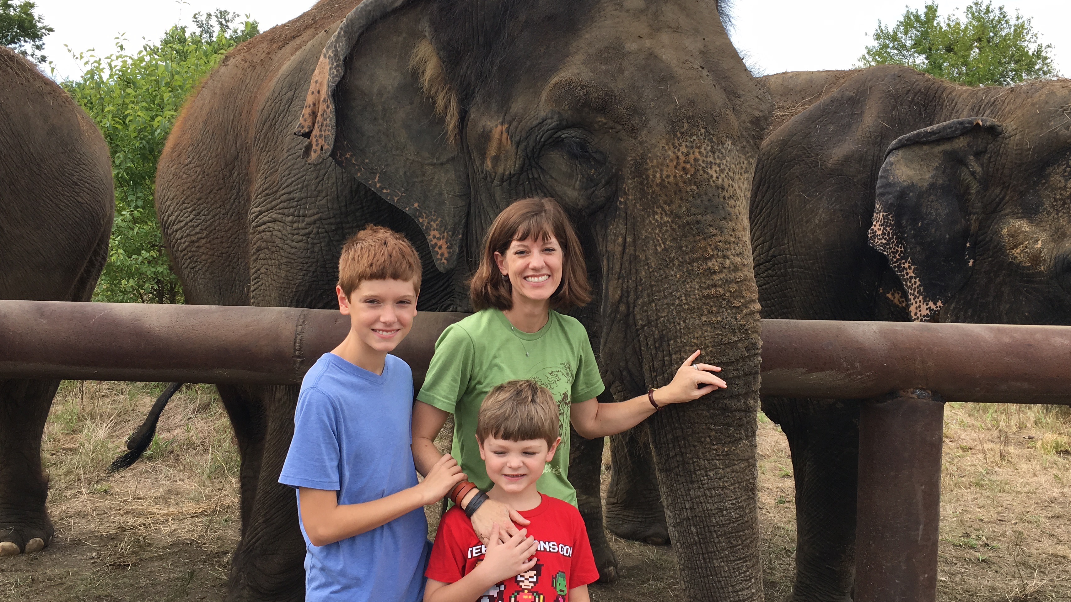 Is There an Elephant Sanctuary in Hugo Oklahoma  
