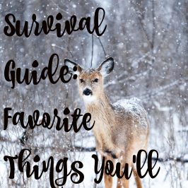 cold weather survival guide: favorite things you'll love