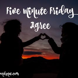 Five Minute Friday – Agree