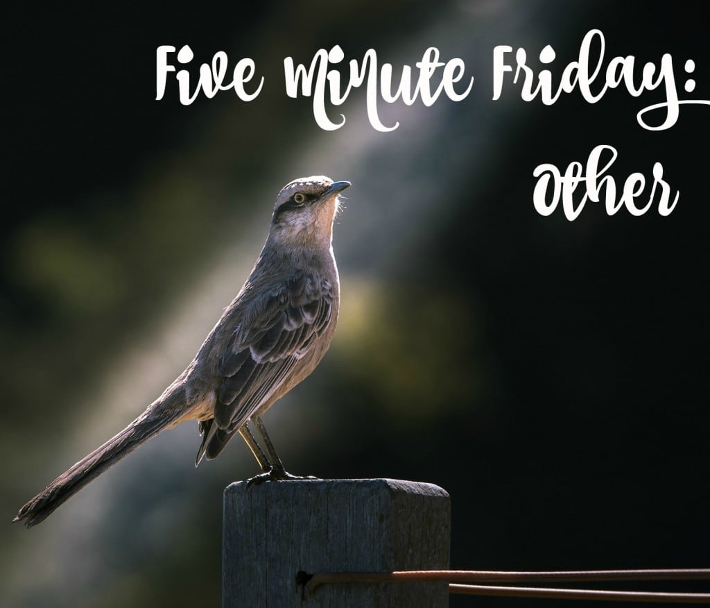 five minute friday other