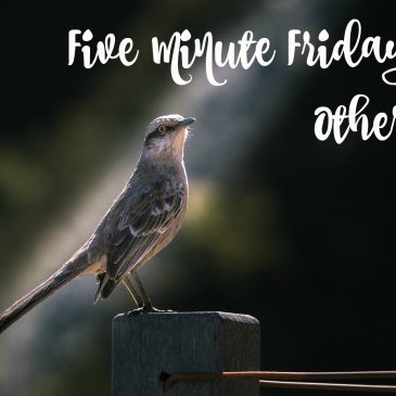 Five Minute Friday – Other