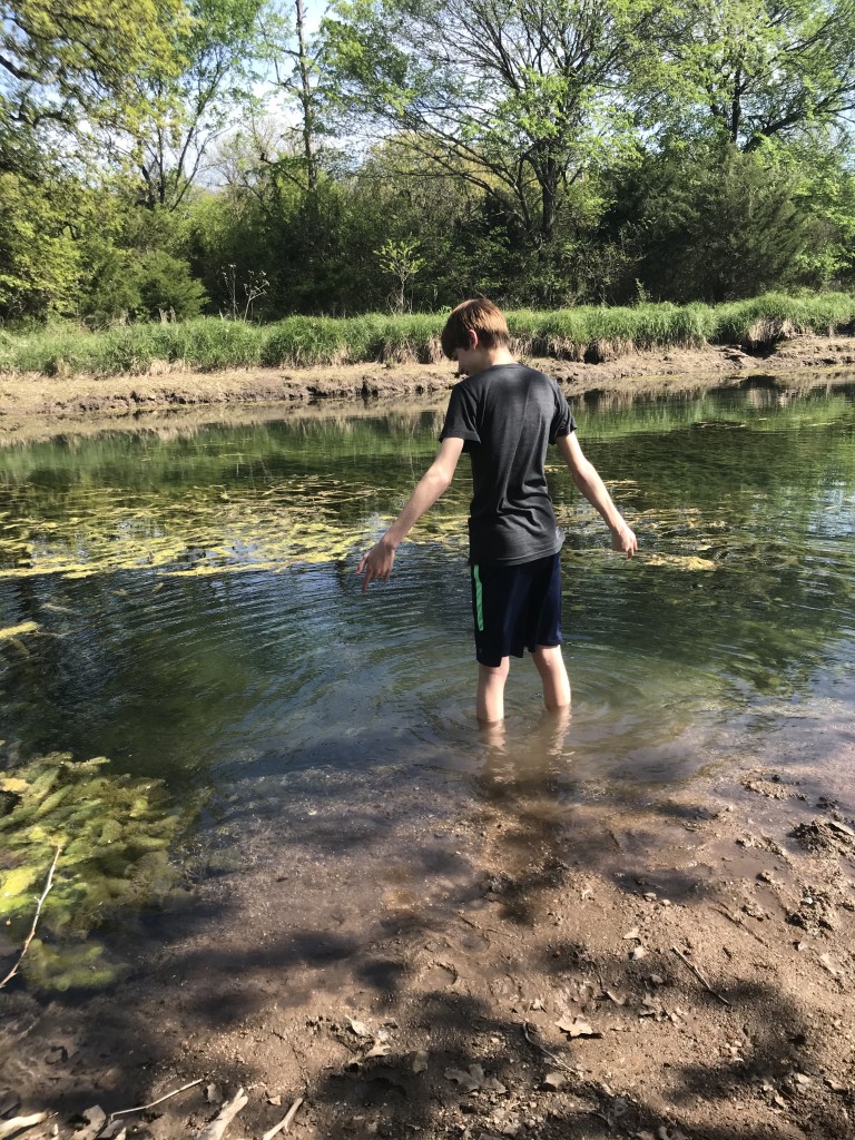 camping turner falls