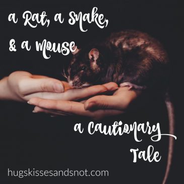 A Rat, A Snake, and A Mouse – A Cautionary Tale