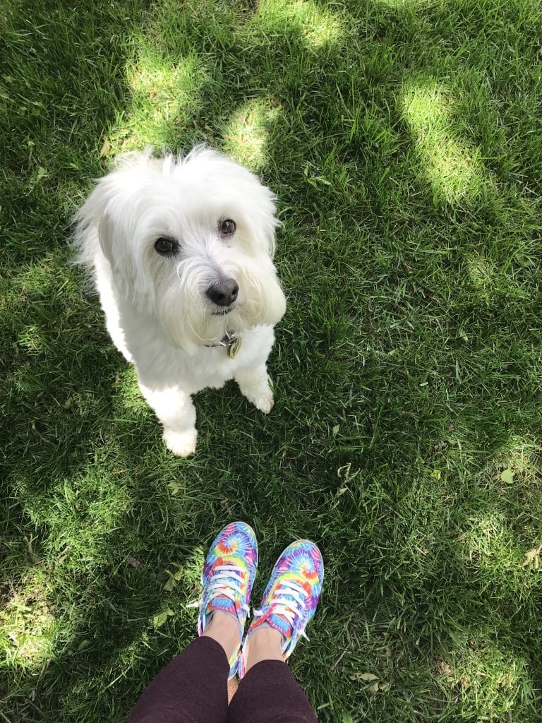 tie die bobs