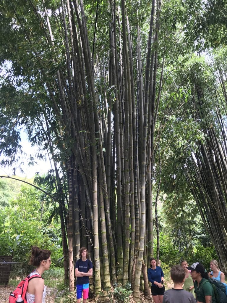 hike maui