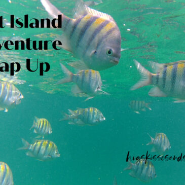 Out Island Adventure: Wrap Up